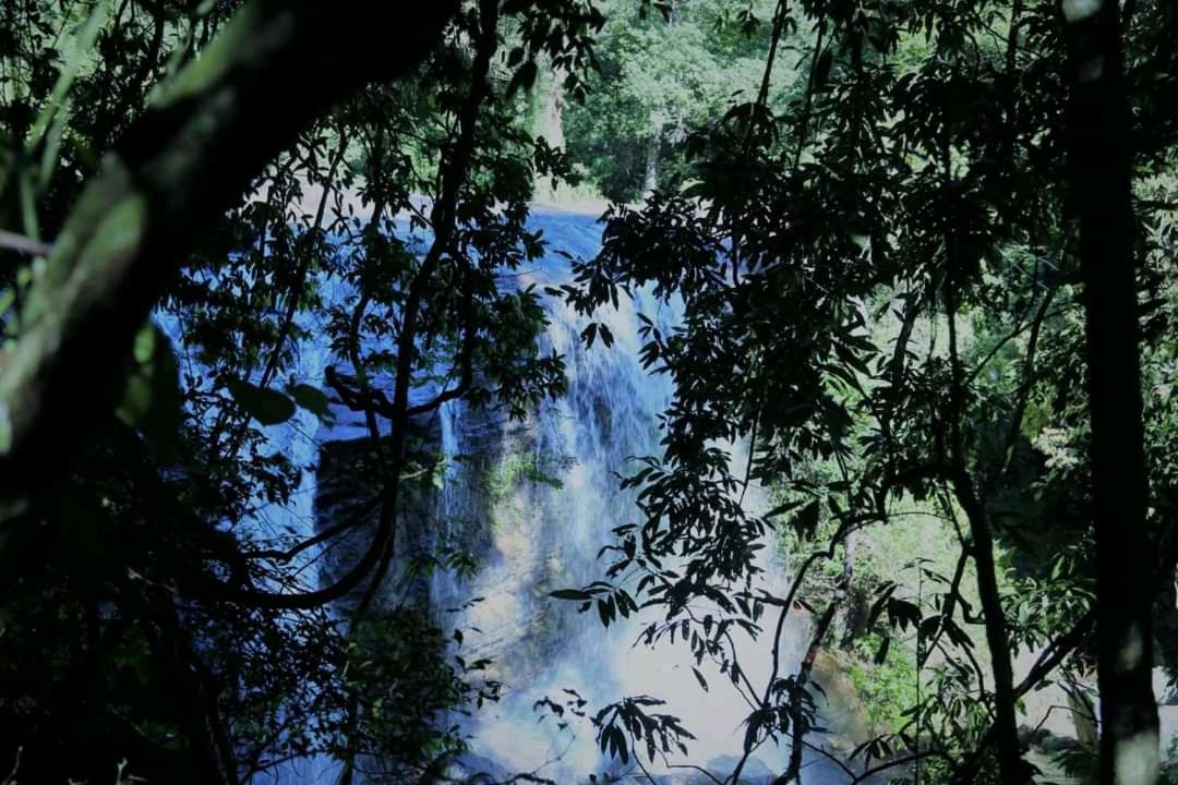 Chalet In The Jungle Pallegama Bagian luar foto