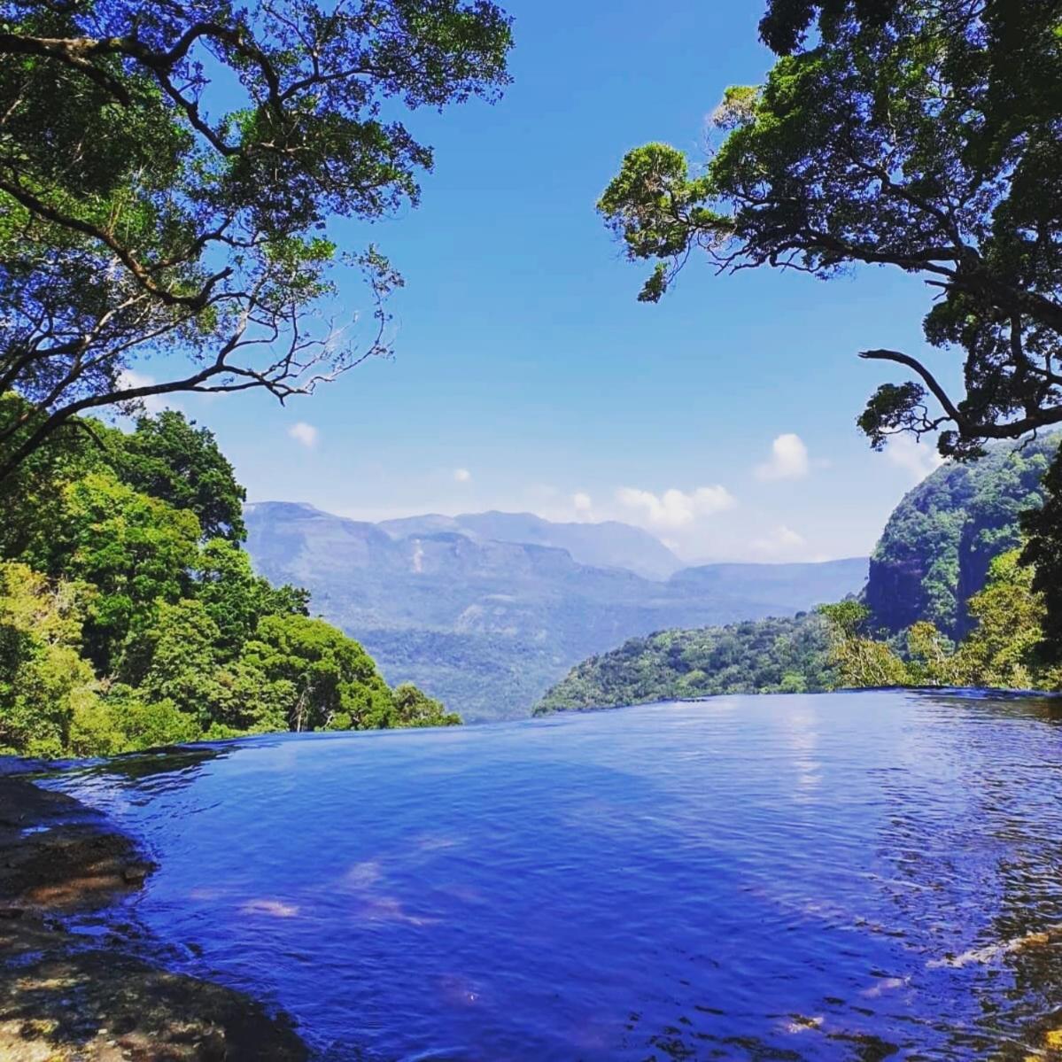 Chalet In The Jungle Pallegama Bagian luar foto