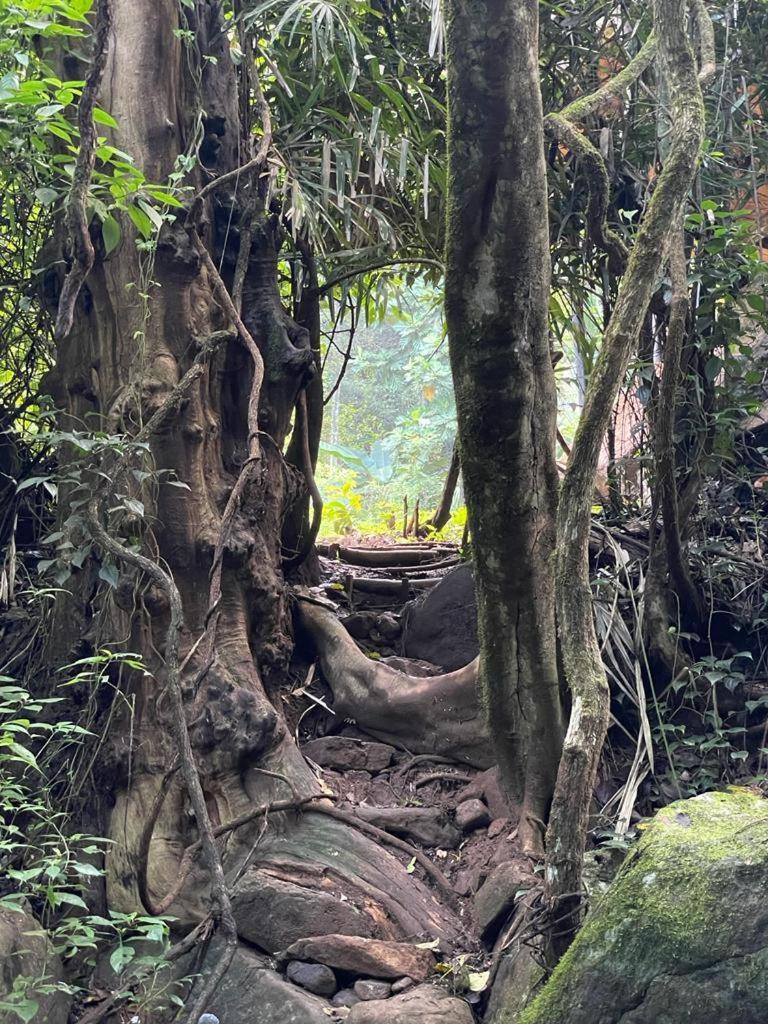 Chalet In The Jungle Pallegama Ruang foto